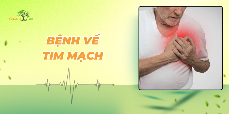 Các bệnh thường gặp về tim mạch