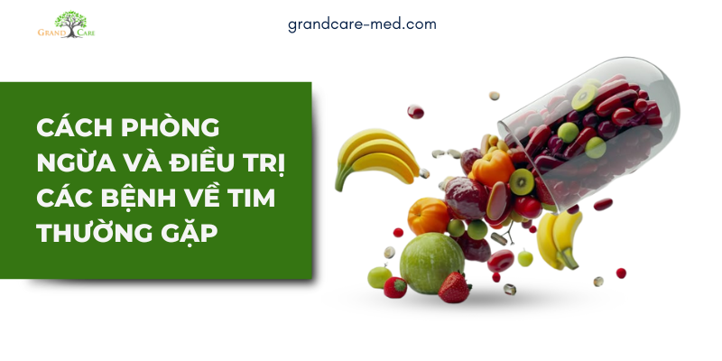 Cách phòng ngừa và điều trị các bệnh về tim thường gặp ở người cao tuổi