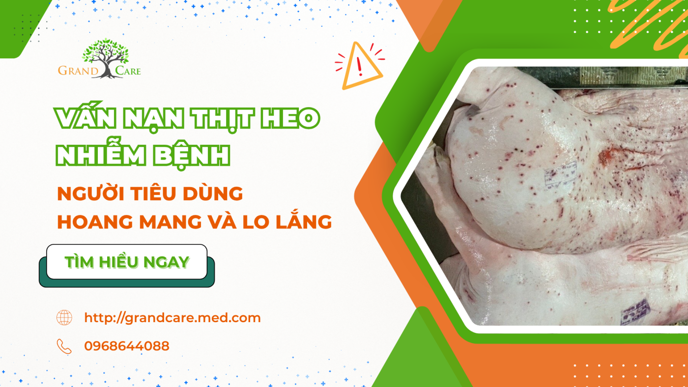 VẤN NẠN THỊT HEO NHIỄM BỆNH - NGƯỜI TIÊU DÙNG HOANG MANG VÀ LO LẮNG