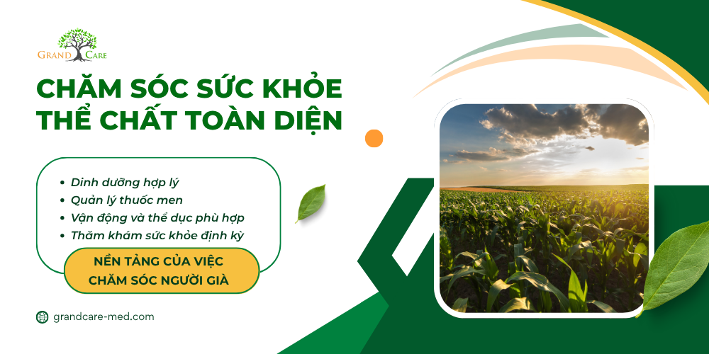 Chăm Sóc Sức Khỏe Tinh Thần và Tâm Lý: Nuôi Dưỡng Tâm Hồn Khi Chăm Sóc Người Già