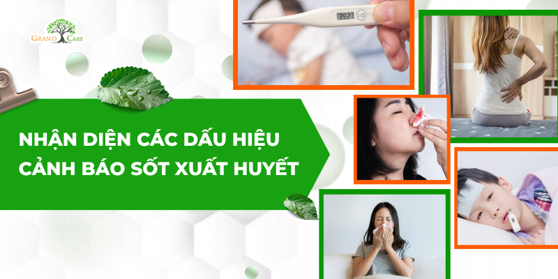 Nhận diện các dấu hiệu cảnh báo sốt xuất huyết