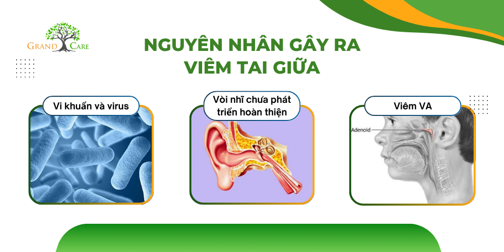 Nguyên nhân gây ra viêm tai giữa