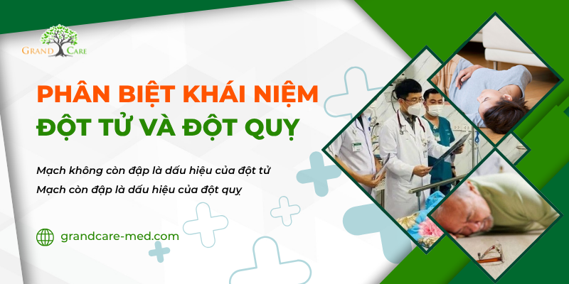 PHÂN BIỆT KHÁI NIỆM ĐỘT TỬ VÀ ĐỘT QUỴ
