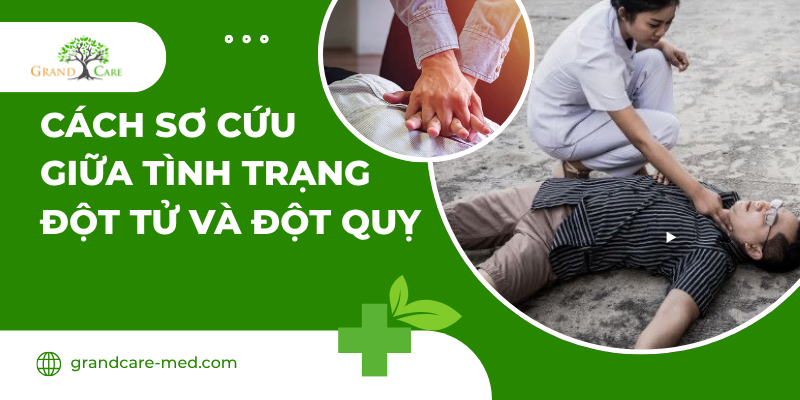 CÁCH SƠ CỨU GIỮA TÌNH TRẠNG ĐỘT TỬ VÀ ĐỘT QUỴ