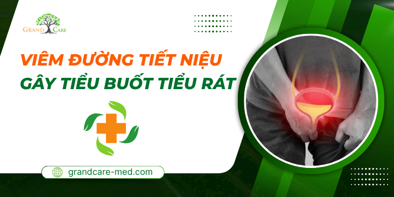 Viêm đường tiết niệu gây tiểu buốt, tiểu rát
