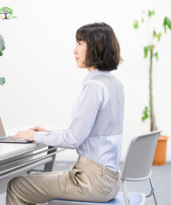 ĐAI CHỐNG GÙ PITA SAPO POSTURE BONBONE JAPAN