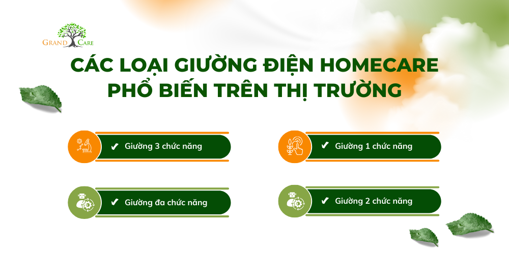 Các loại giường điện homecare phổ biến trên thị trường