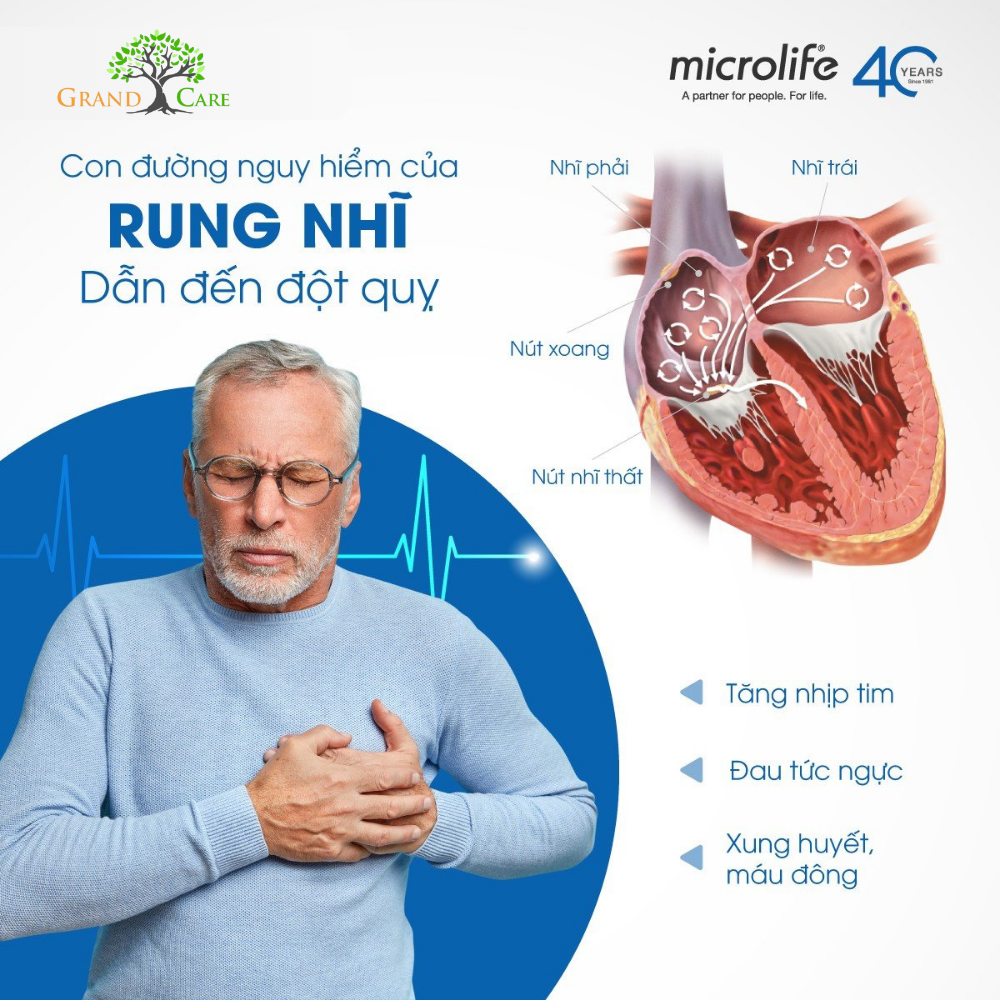 MÁY ĐO HUYẾT ÁP MICROLIFE A5 (3) MÁY ĐO HUYẾT ÁP MICROLIFE A5