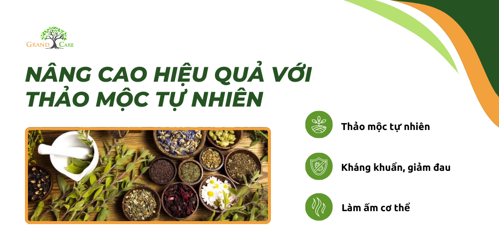 Nâng cao hiệu quả với thảo mộc tự nhiên 