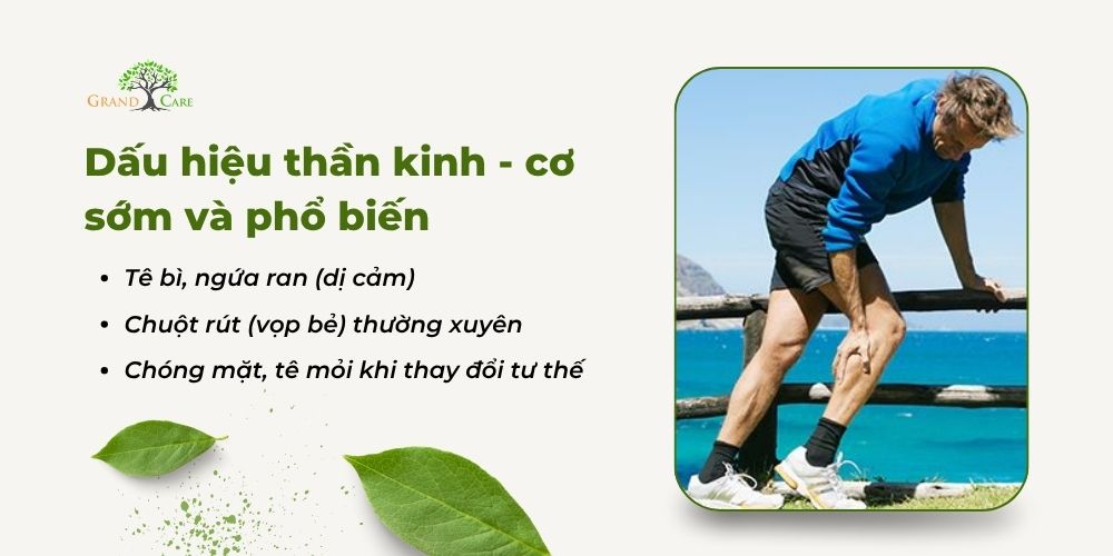 Dấu hiệu thần kinh - cơ sớm và phổ biến